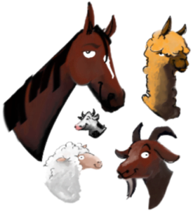 hayboss_drawing