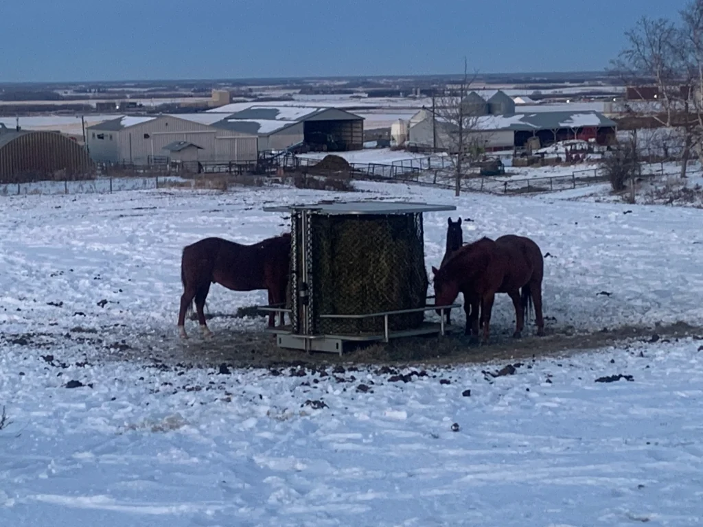 hay feeders for different animals