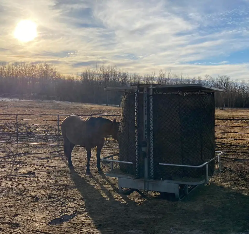 round bale feeder for horses