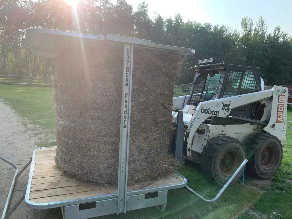Why-Hay-Feeders-Matter