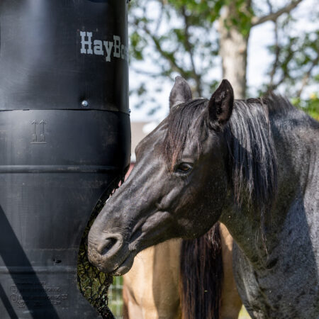 Horse eating hay from a HayBoss Barrel Feeder with black net system. Durable, weather-resistant hay feeder designed to reduce waste and promote healthy, slow feeding for horses.