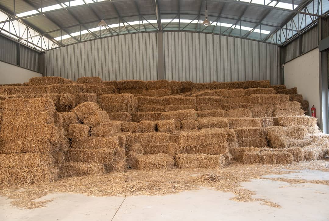 Hay stored indoors